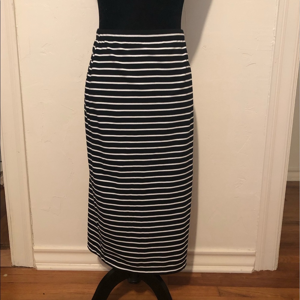 Max Studio Skirt